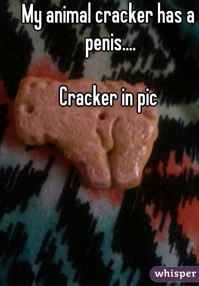 My animal cracker has a penis....

Cracker in pic
