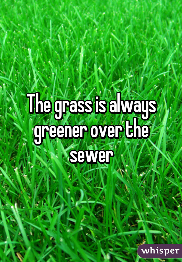 The grass is always greener over the sewer