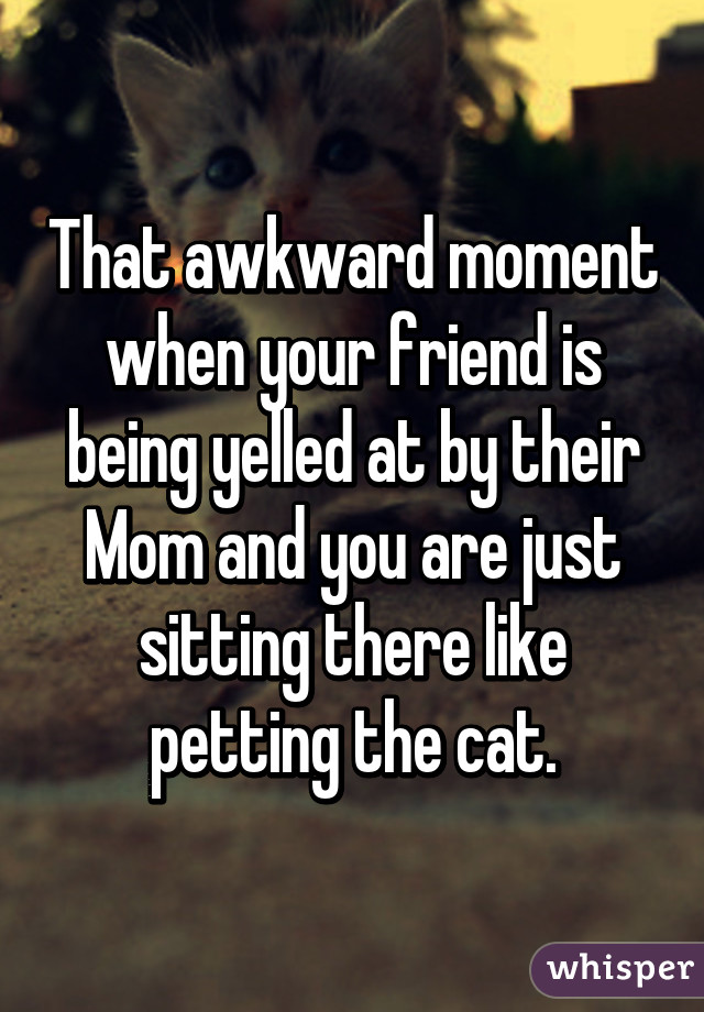 That awkward moment when your friend is being yelled at by their Mom and you are just sitting there like petting the cat.