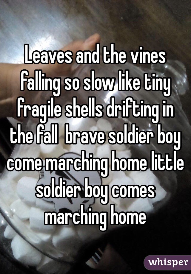 Leaves and the vines falling so slow like tiny fragile shells drifting in the fall  brave soldier boy come marching home little soldier boy comes marching home 