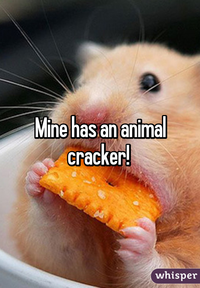 Mine has an animal cracker! 