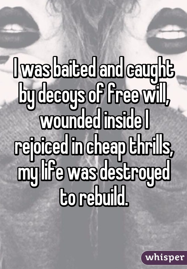 I was baited and caught by decoys of free will, wounded inside I rejoiced in cheap thrills, my life was destroyed to rebuild.