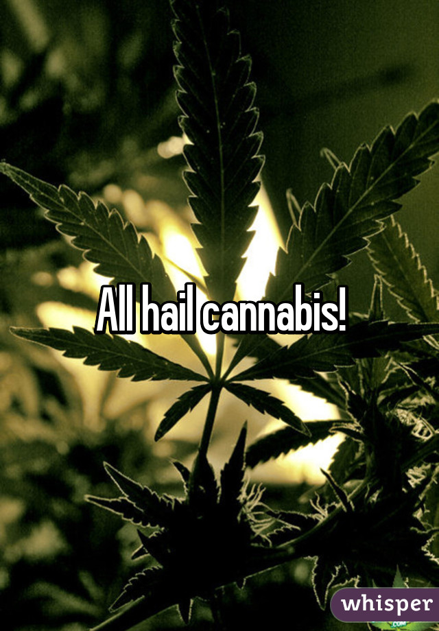 All hail cannabis!