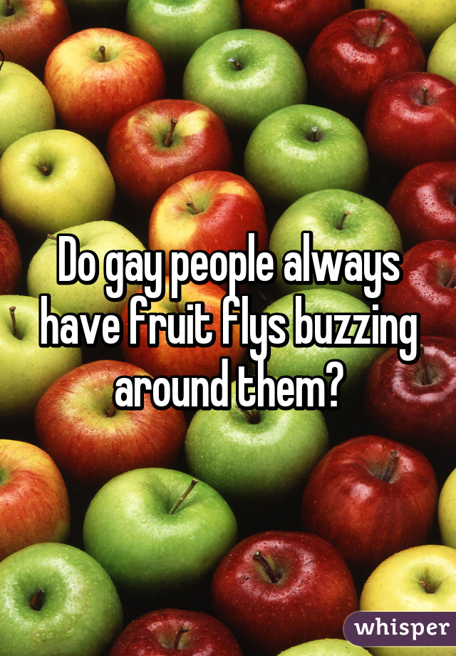 Do gay people always have fruit flys buzzing around them?