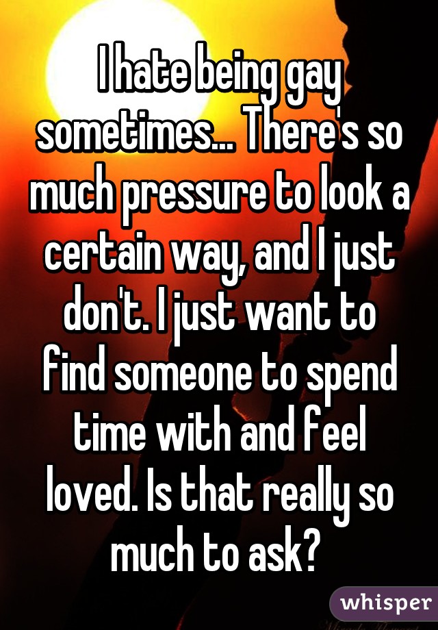 I hate being gay sometimes... There's so much pressure to look a certain way, and I just don't. I just want to find someone to spend time with and feel loved. Is that really so much to ask? 