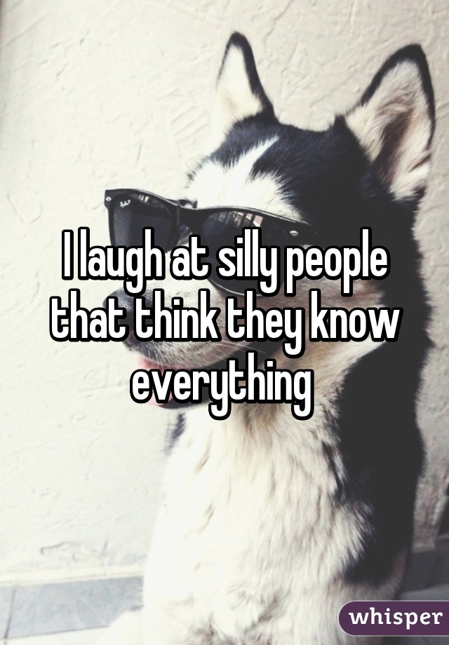 I laugh at silly people that think they know everything 