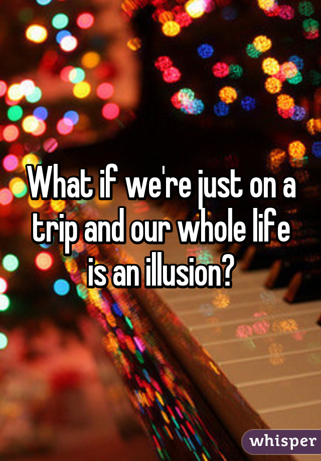 What if we're just on a trip and our whole life is an illusion?