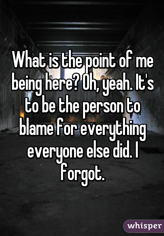 What is the point of me being here? Oh, yeah. It's to be the person to blame for everything everyone else did. I forgot.