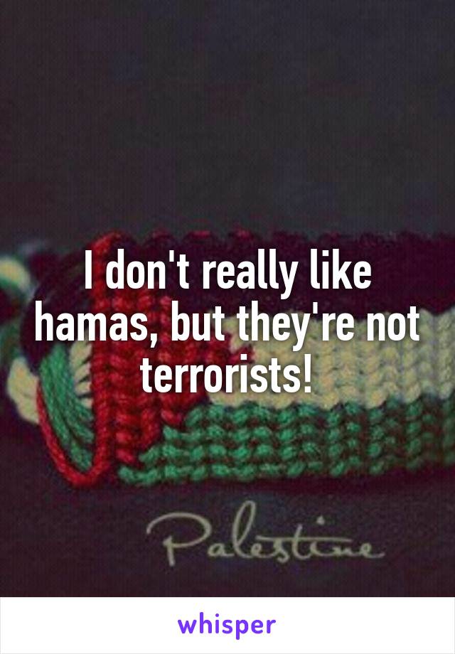 I don't really like hamas, but they're not terrorists!