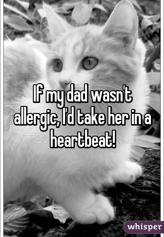 If my dad wasn't allergic, I'd take her in a heartbeat!