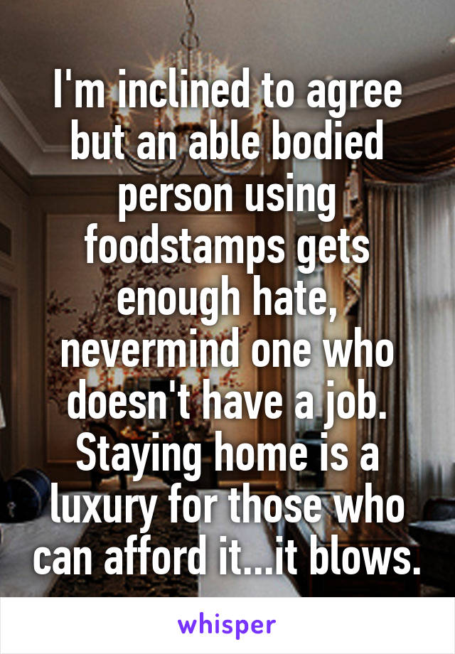 I'm inclined to agree but an able bodied person using foodstamps gets enough hate, nevermind one who doesn't have a job. Staying home is a luxury for those who can afford it...it blows.
