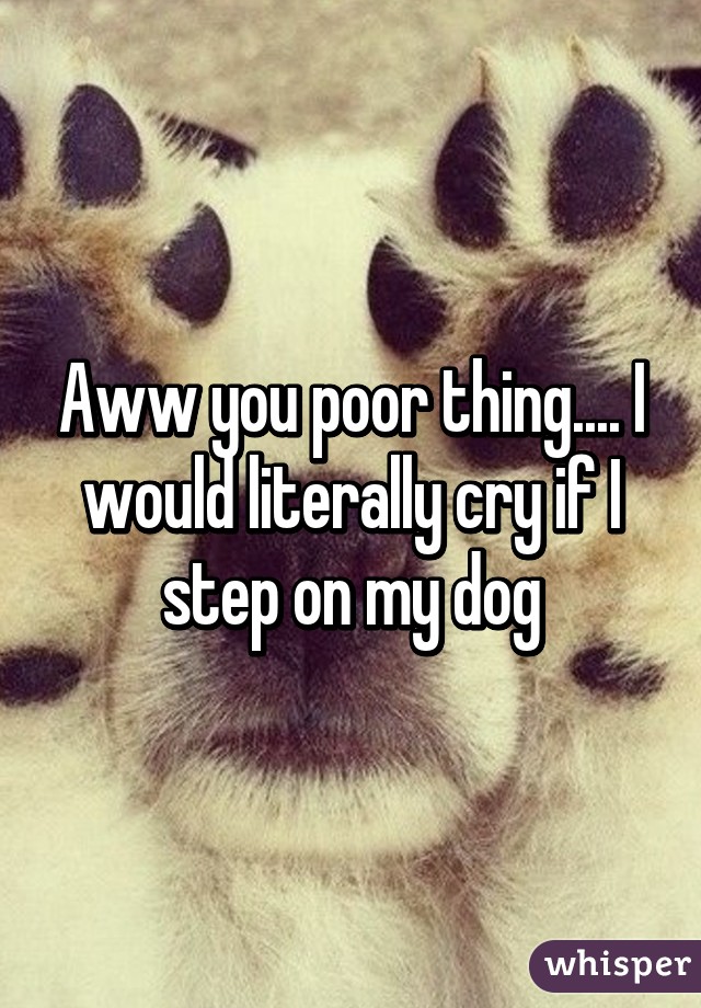 Aww you poor thing.... I would literally cry if I step on my dog