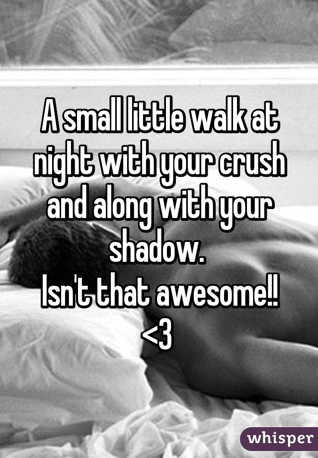 A small little walk at night with your crush and along with your shadow. 
Isn't that awesome!! <3 