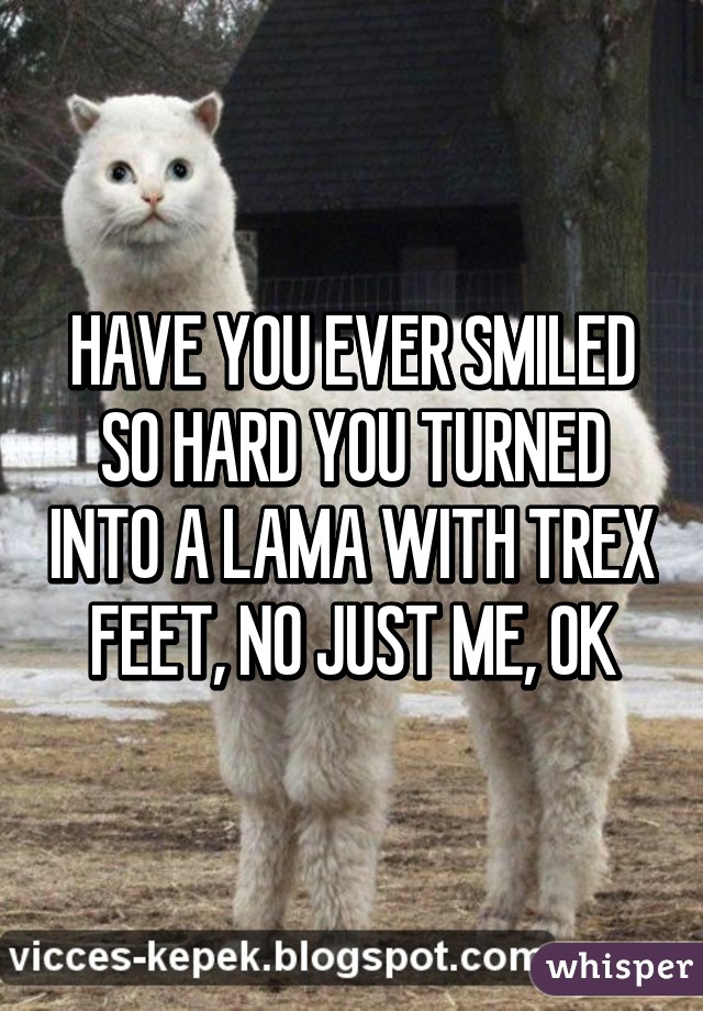 HAVE YOU EVER SMILED SO HARD YOU TURNED INTO A LAMA WITH TREX FEET, NO JUST ME, OK