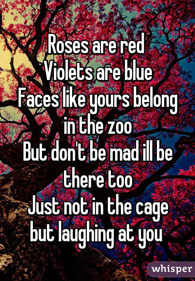 Roses are red 
Violets are blue
Faces like yours belong in the zoo
But don't be mad ill be there too
Just not in the cage but laughing at you 