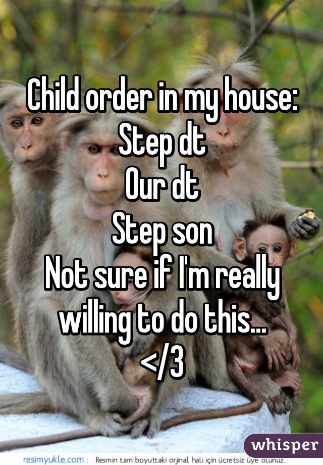 Child order in my house:
Step dt
Our dt
Step son
Not sure if I'm really willing to do this...
</3