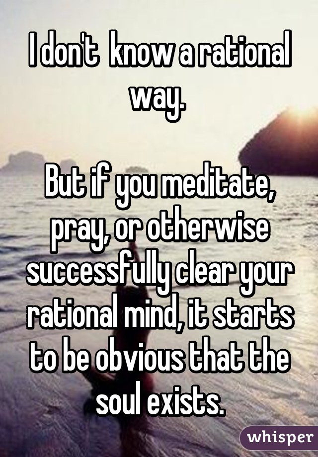 I don't  know a rational way. 

But if you meditate, pray, or otherwise successfully clear your rational mind, it starts to be obvious that the soul exists.