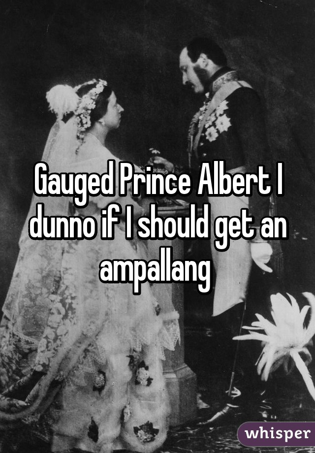 Gauged Prince Albert I dunno if I should get an ampallang 