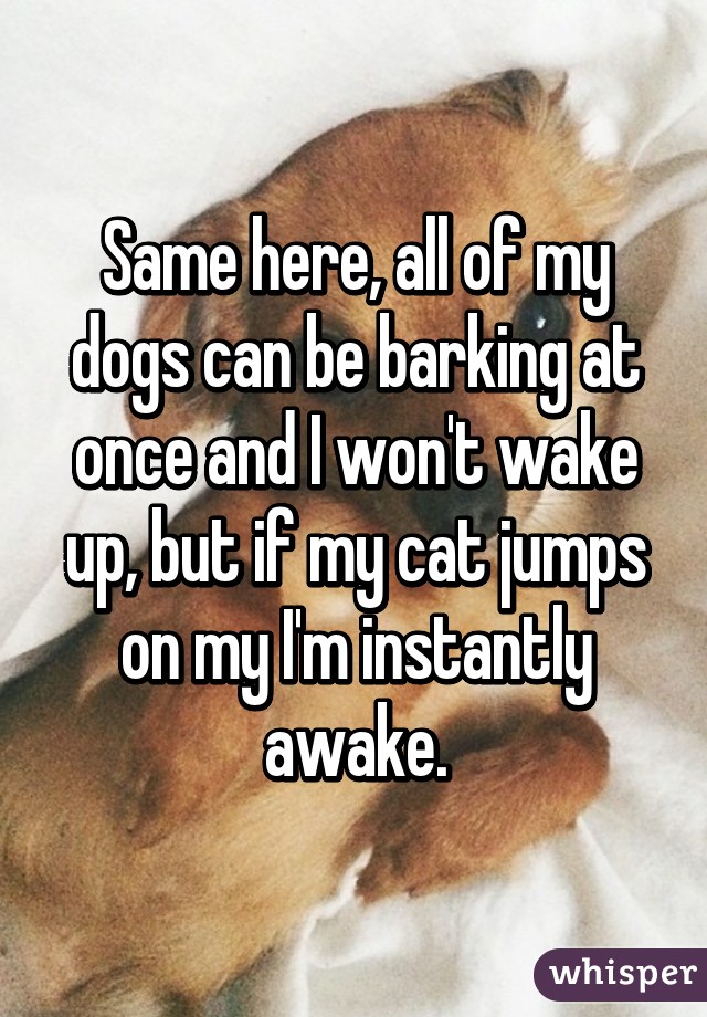 Same here, all of my dogs can be barking at once and I won't wake up, but if my cat jumps on my I'm instantly awake.