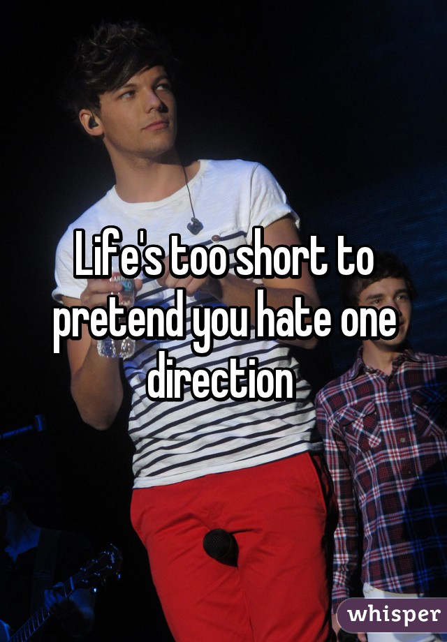 Life's too short to pretend you hate one direction 