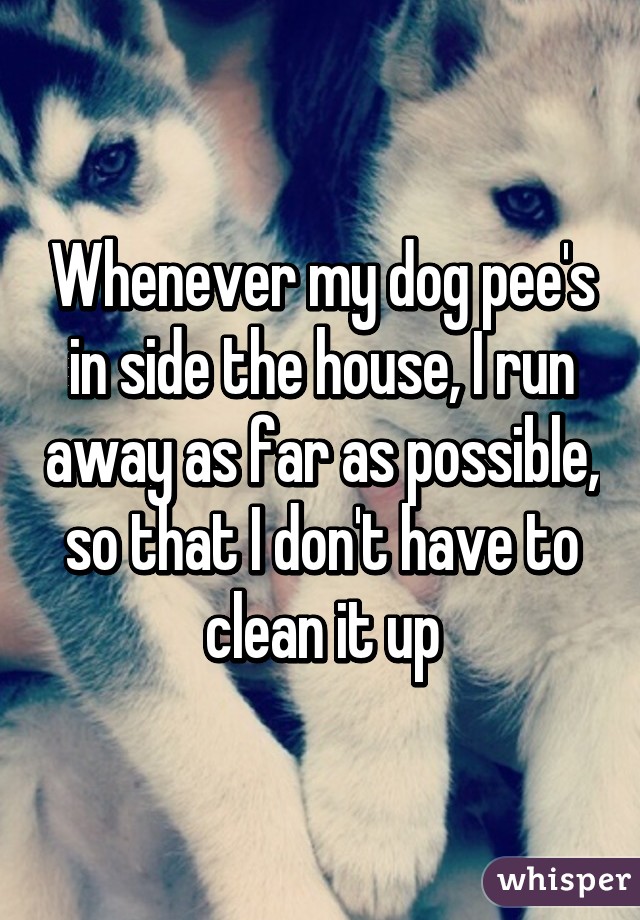 Whenever my dog pee's in side the house, I run away as far as possible, so that I don't have to clean it up