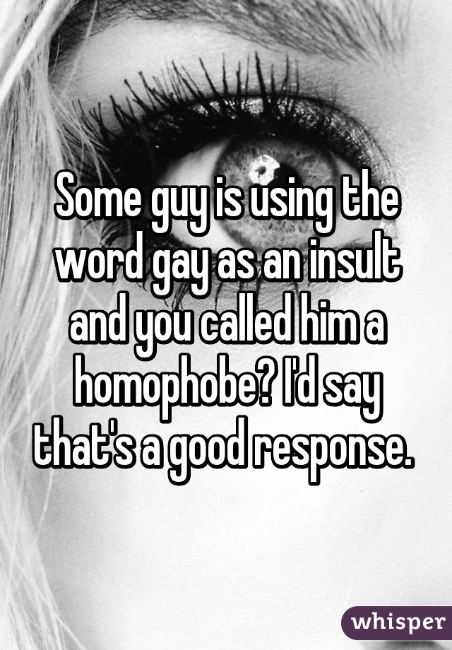 Some guy is using the word gay as an insult and you called him a homophobe? I'd say that's a good response. 