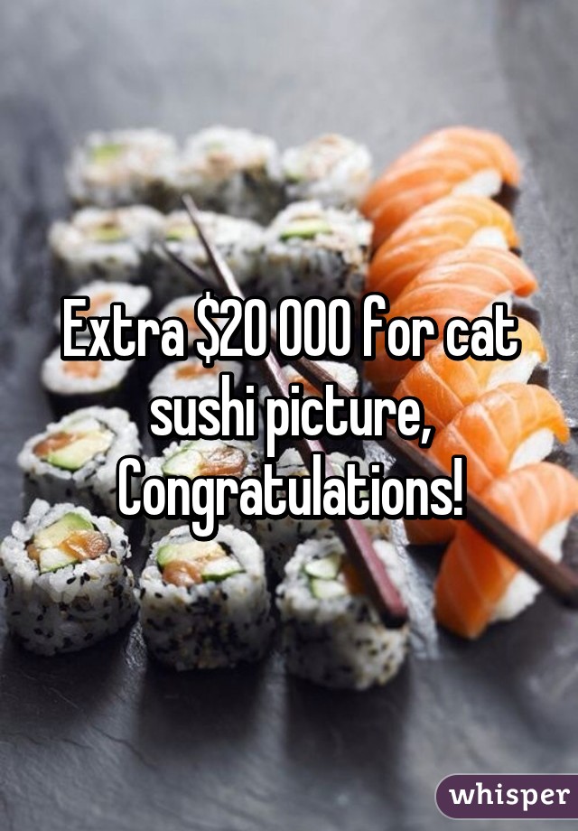 Extra $20 000 for cat sushi picture, Congratulations!