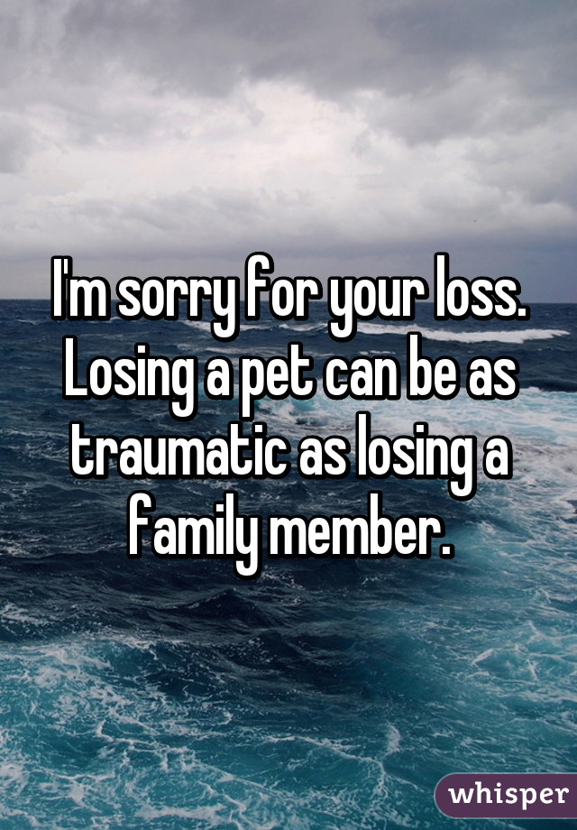 I'm sorry for your loss. Losing a pet can be as traumatic as losing a family member.