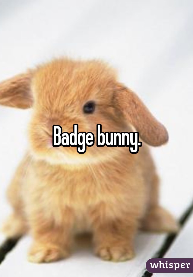 Badge bunny.