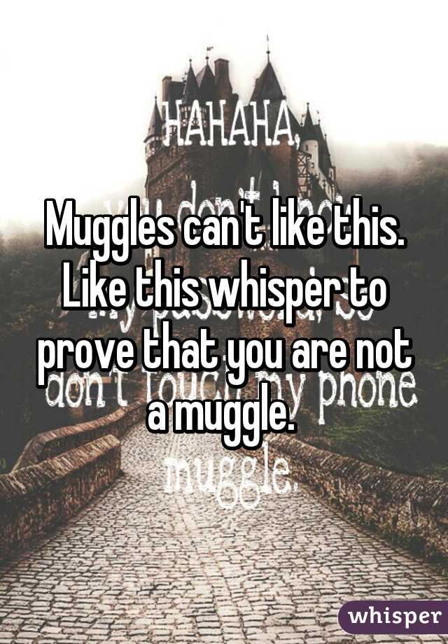 Muggles can't like this. Like this whisper to prove that you are not a muggle. 