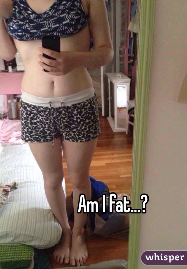 Am I fat...?