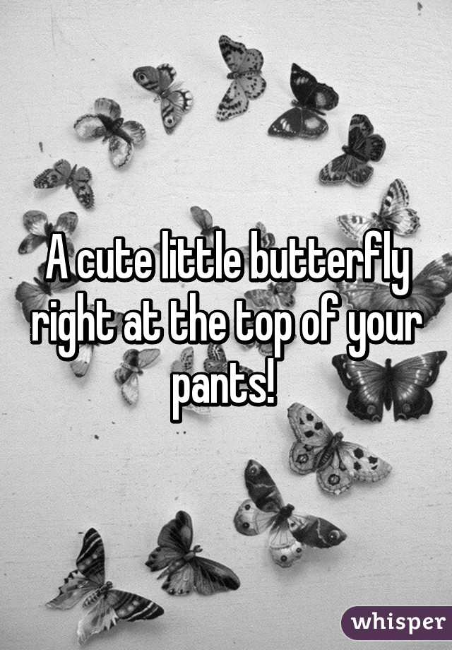 A cute little butterfly right at the top of your pants! 