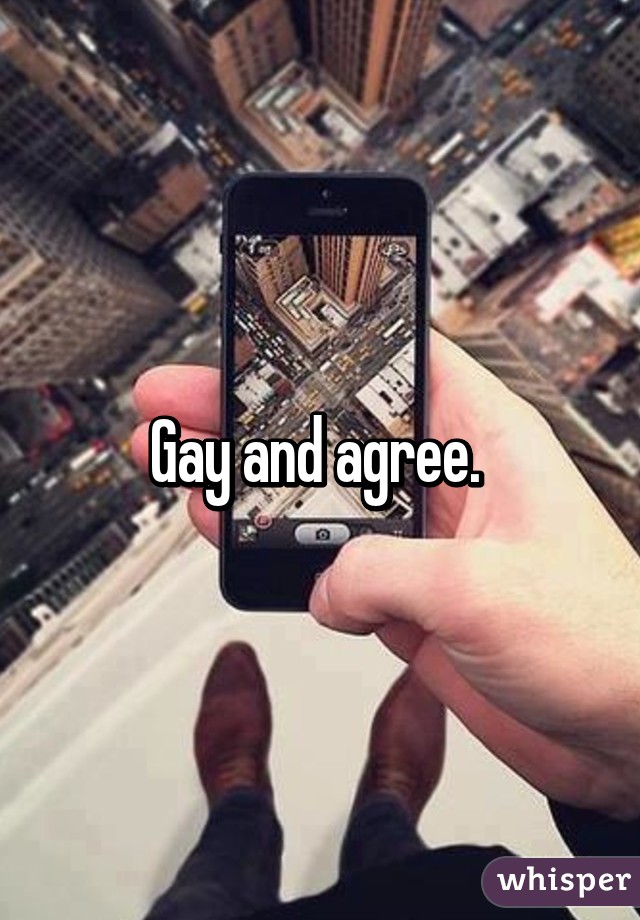 Gay and agree. 