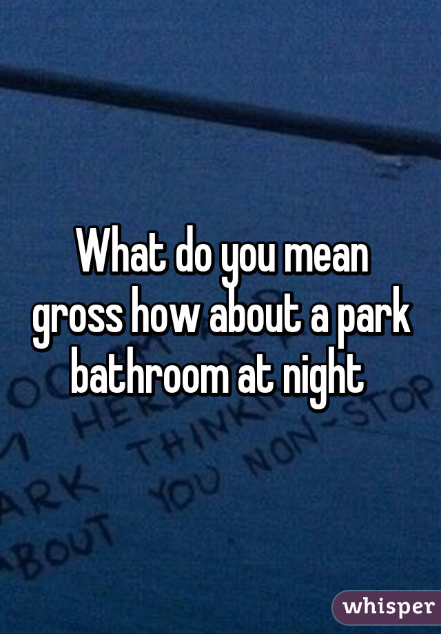 What do you mean gross how about a park bathroom at night 