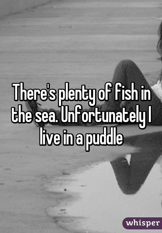 There's plenty of fish in the sea. Unfortunately I live in a puddle