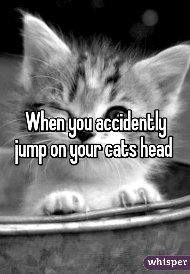 When you accidently jump on your cats head 