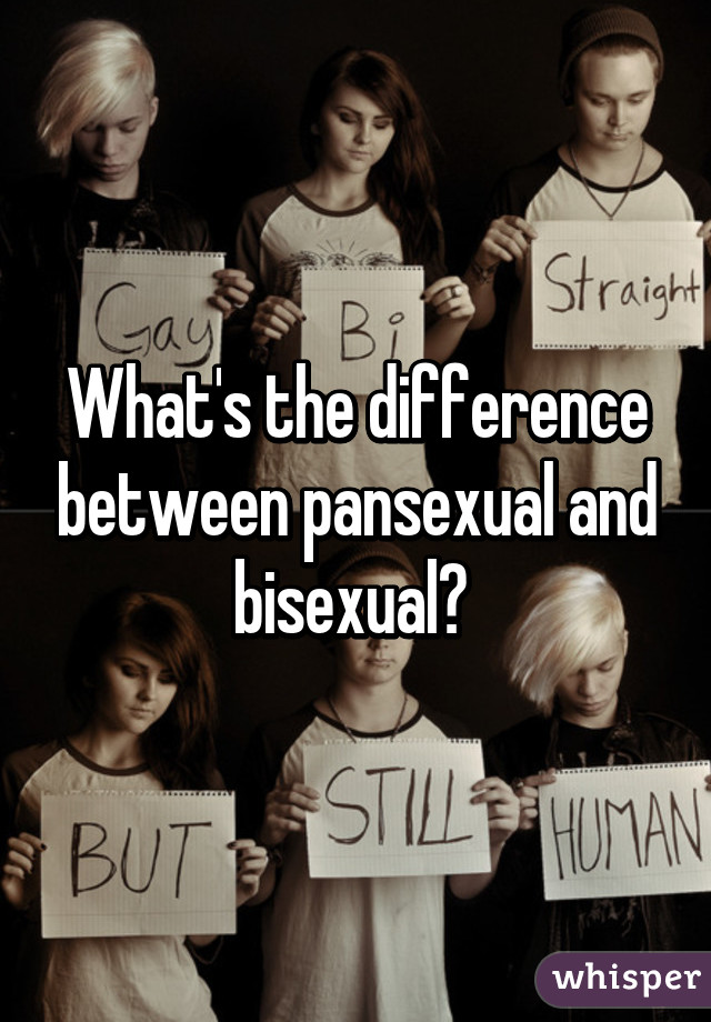 What S The Difference Between Pansexual And Bisexual