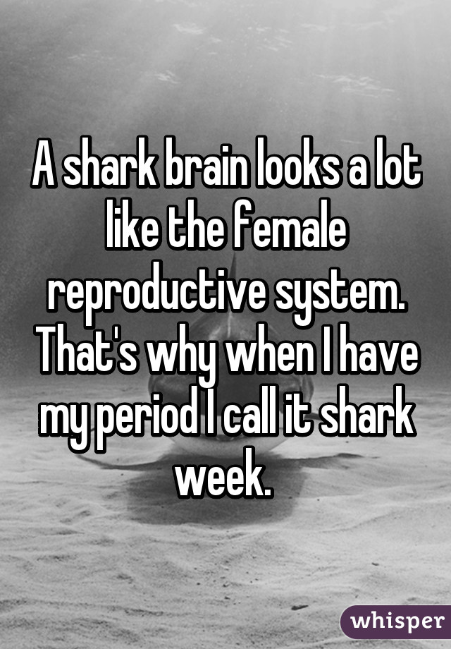 A shark brain looks a lot like the female reproductive system. That's why when I have my period I call it shark week. 