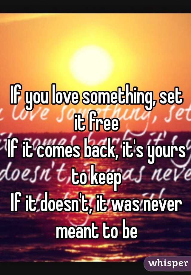 If you love something, set it free
If it comes back, it's yours to keep
If it doesn't, it was never meant to be