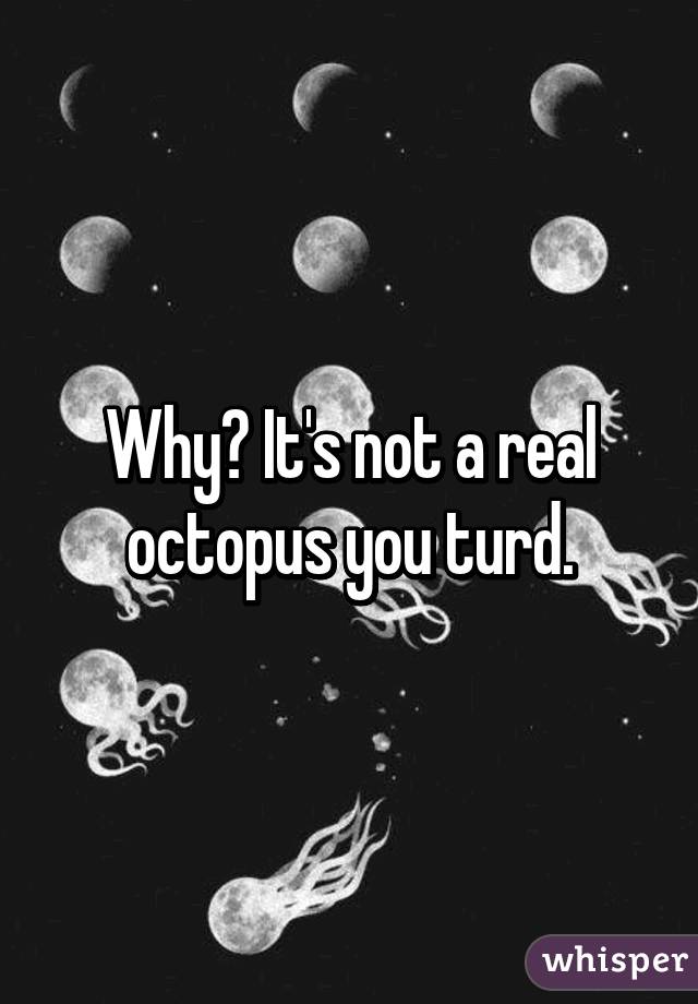 Why? It's not a real octopus you turd.