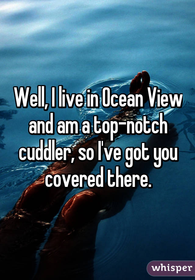 Well, I live in Ocean View and am a top-notch cuddler, so I've got you covered there.