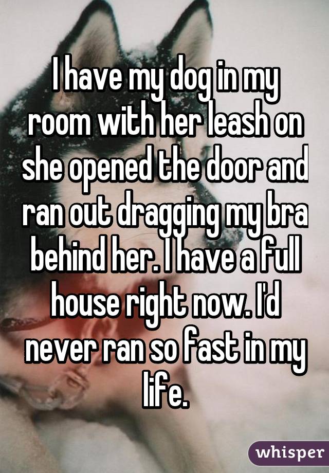 I have my dog in my room with her leash on she opened the door and ran out dragging my bra behind her. I have a full house right now. I'd never ran so fast in my life.