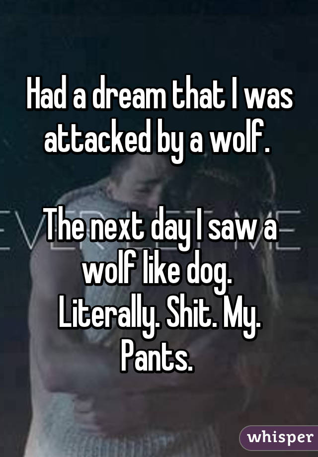 Had a dream that I was attacked by a wolf. 

The next day I saw a wolf like dog. 
Literally. Shit. My. Pants. 