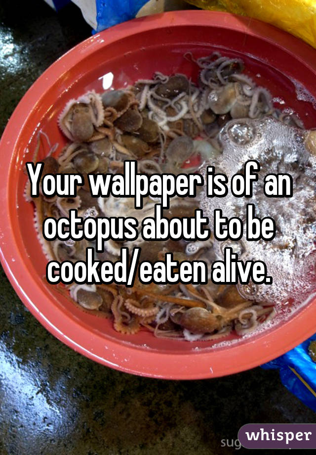 Your wallpaper is of an octopus about to be cooked/eaten alive.