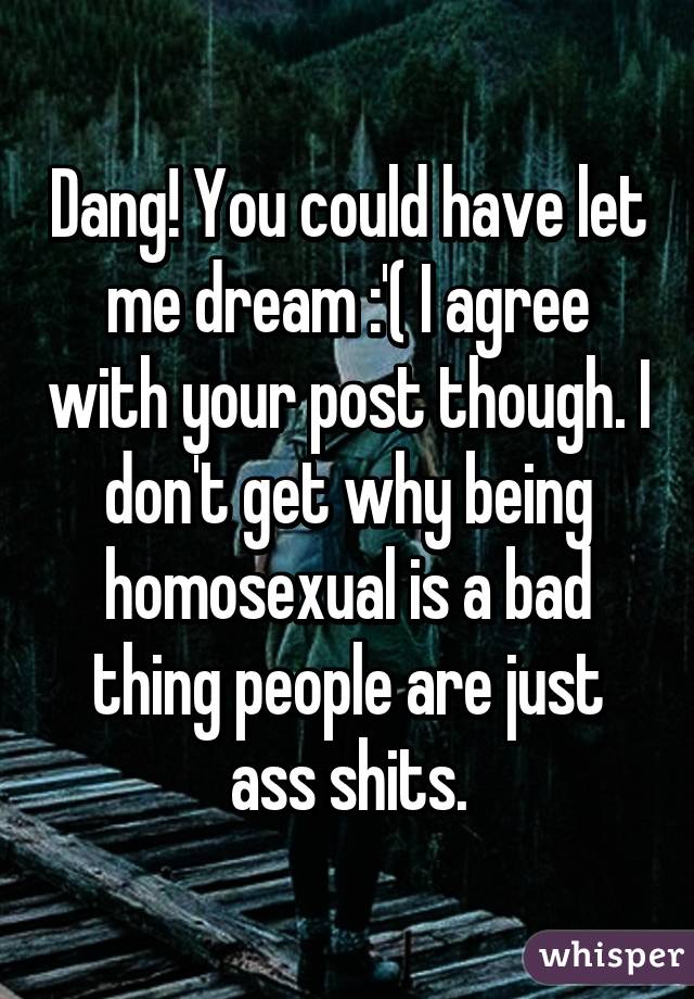 Dang! You could have let me dream :'( I agree with your post though. I don't get why being homosexual is a bad thing people are just ass shits.