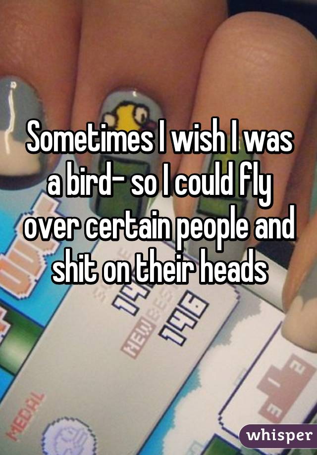 Sometimes I wish I was a bird- so I could fly over certain people and shit on their heads
