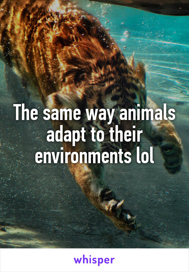 The same way animals adapt to their environments lol