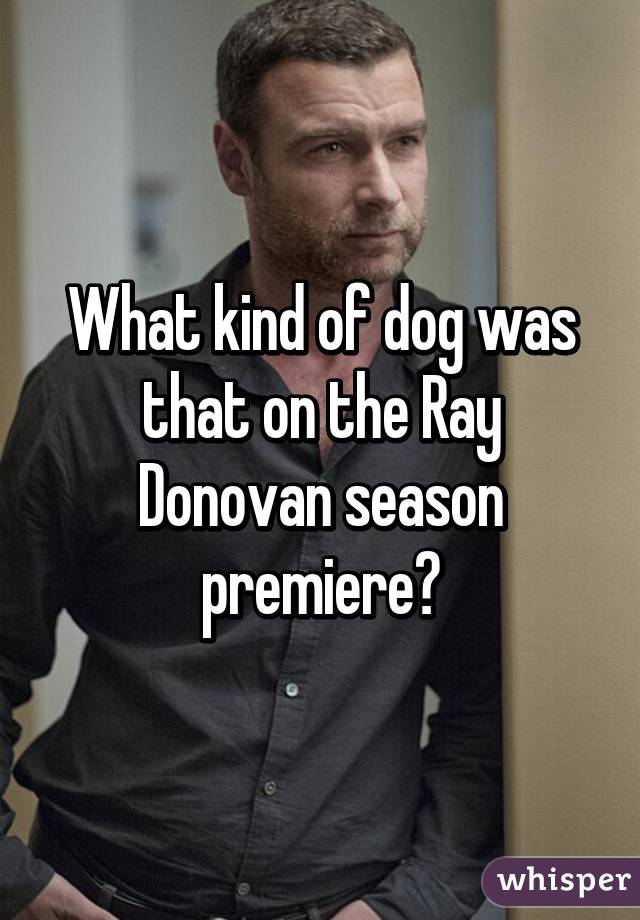 What kind of dog was that on the Ray Donovan season premiere?