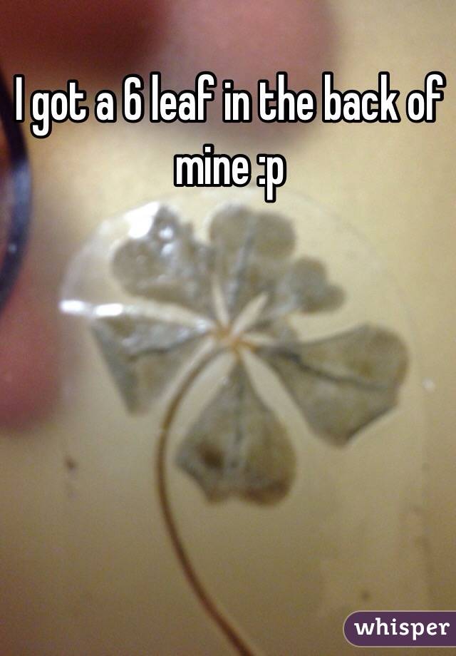 I got a 6 leaf in the back of mine :p