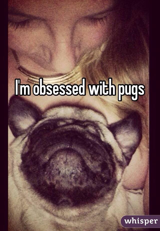 I'm obsessed with pugs 